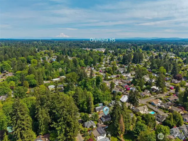 Olympia HS & Pioneer Elementary nearby. Wildwood is a friendly, established neighborhood in a prime location!