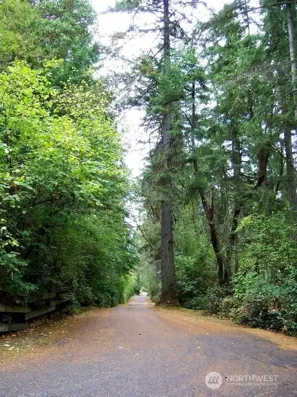 All the property on the left of 32nd is the property FOR SALE.