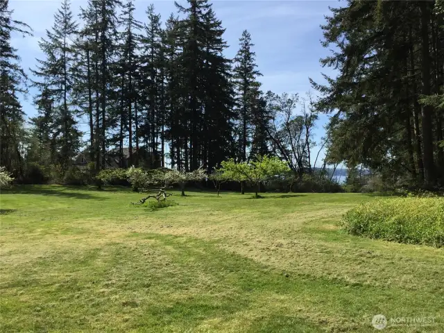 Fruit trees and apple trees, pear trees and plum trees.