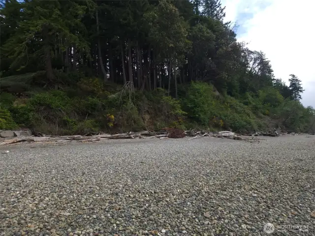 Beach looking south