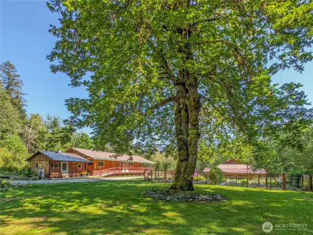 House and Garden with Shop