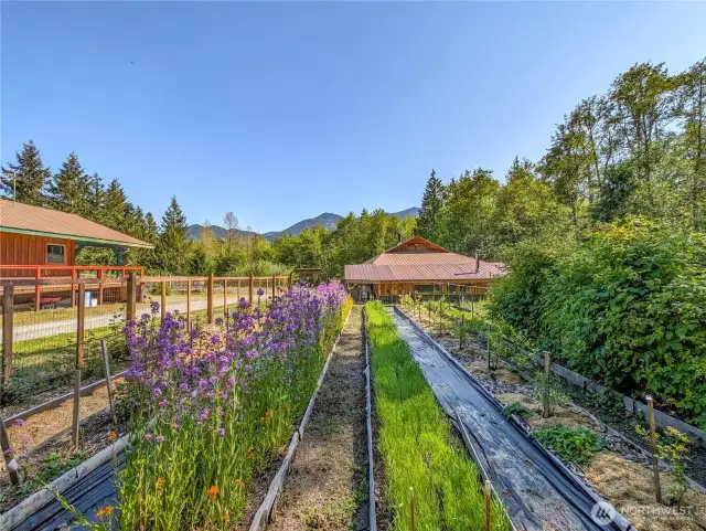 Main Gardens