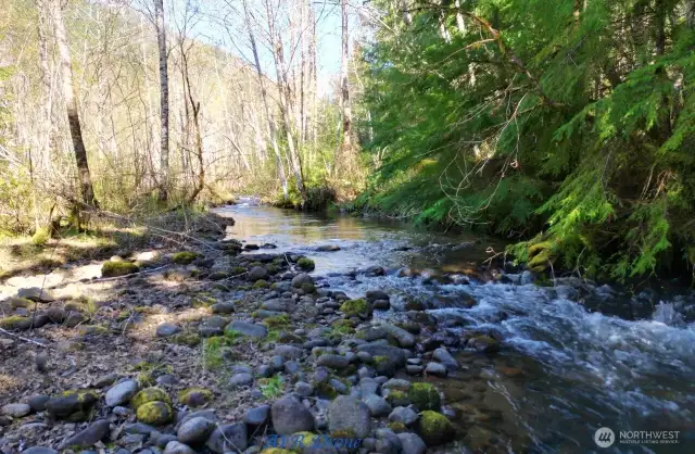 Goat Creek late spring