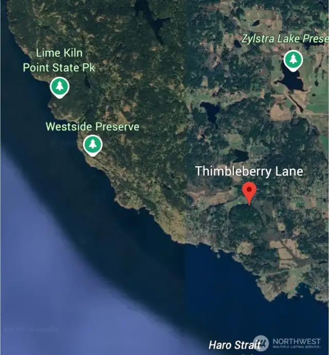 3 miles to Lime Kiln State Park and WHALES!
