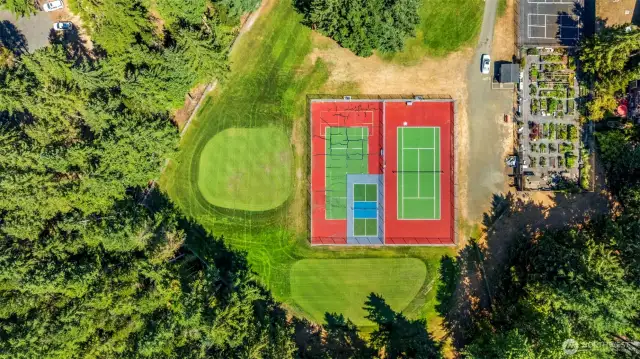 Tennis, Pickle Ball