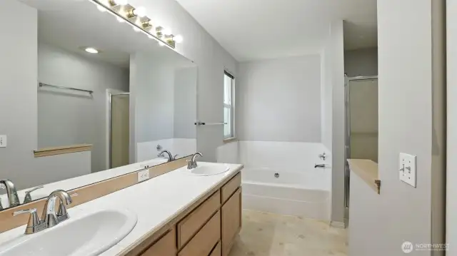 Primary suite bathroom