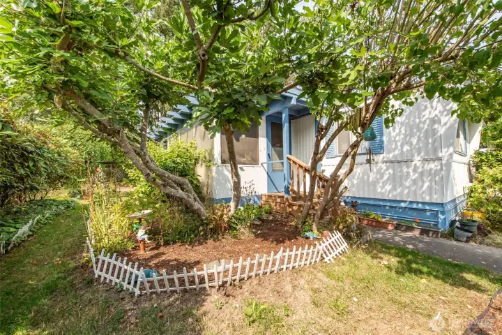 Front yard
