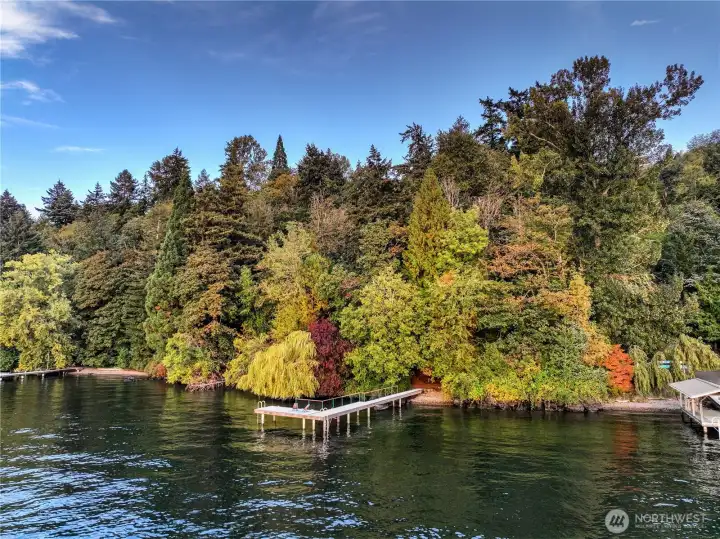 From the water, Evergreen Lakeshore Preserve reveals its most enchanting quality: a pristine forested shoreline alive with the hues of autumn. With nearly 300 feet of Lake Washington waterfront, the property offers a rare and rich natural buffer—lush, multicolored, and serene. Here, the private dock hints at the simple joys of lakeside living, while the towering evergreens and maples speak to the property’s legacy as a place of quiet refuge. This is not just land—it’s sanctuary.