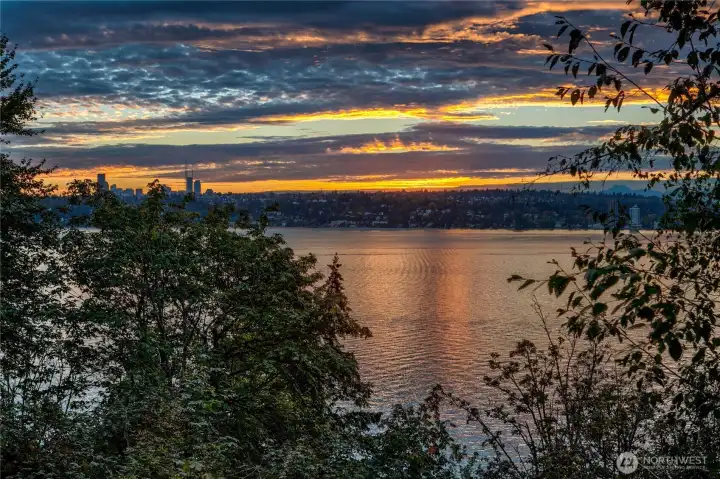 A golden-hour view west across Lake Washington toward downtown Seattle, framed by the native tree canopy that defines the site’s natural beauty. From this vantage point, the city skyline rises gently above the horizon, softened by water and filtered light—reminding us of the rare balance between urban connection and quiet retreat. At Evergreen Lakeshore Preserve, these moments of serene grandeur unfold daily, offering a sense of stillness that’s hard to find and impossible to forget.