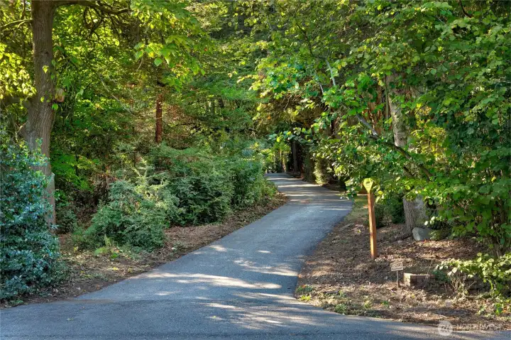 This winding private drive meanders through a canopy of mature maples, firs, and evergreens, offering an enchanting approach to the estate. Dappled sunlight filters through the trees, creating a peaceful, shaded corridor that feels a world apart—setting the tone for a property defined by natural beauty, privacy, and timeless Pacific Northwest character.