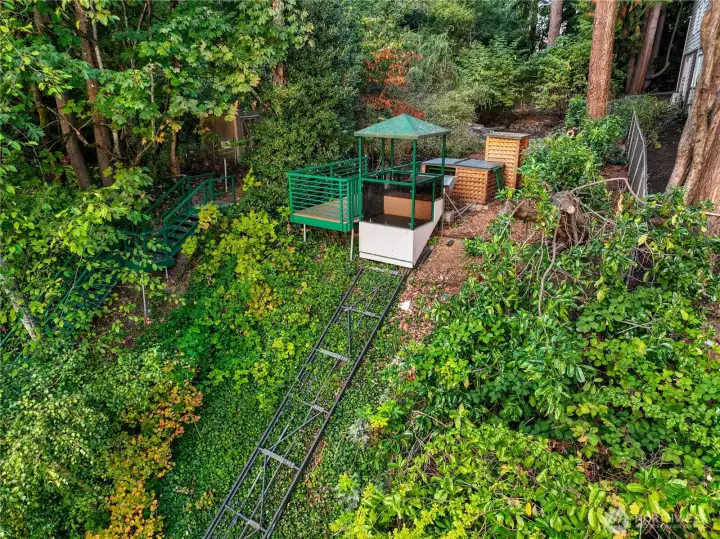 An inclined tram glides through the forested hillside, offering a memorable and convenient connection between the home and its lakeside amenities. Surrounded by mature trees and native understory, the ride becomes an immersive passage through the preserve’s protected natural landscape—linking daily living with the rhythms of the water and woods below.