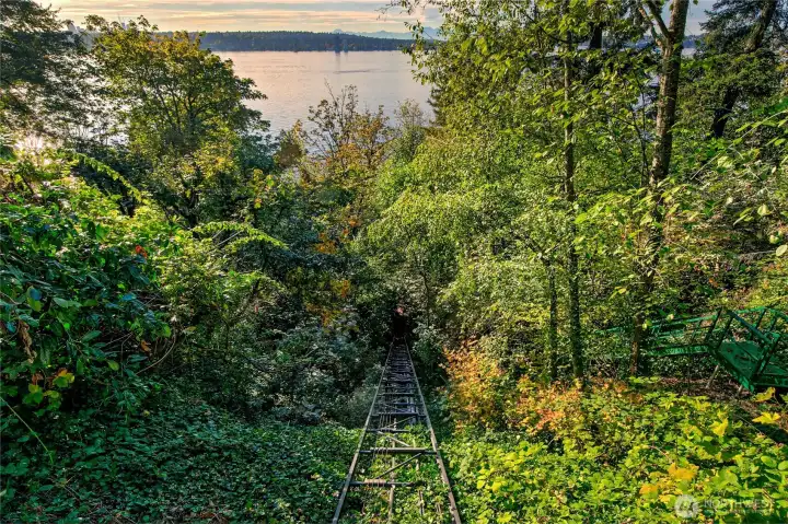 Descending through a lush canopy of trees, the private tramway offers a peaceful journey toward the water’s edge. Framed by vibrant foliage and filtered sunlight, the ride reveals views of Lake Washington and the Olympic Mountains beyond—a gentle reminder of the harmony between home and habitat at Evergreen Lakeshore Preserve.