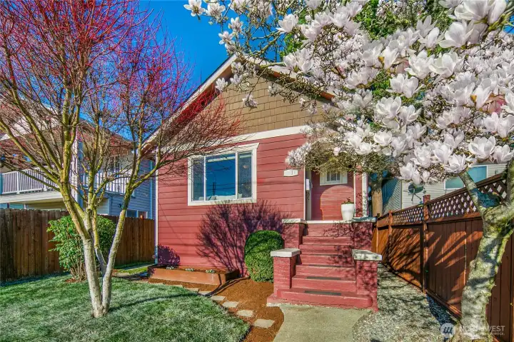 Welcome home to this remodeled 1925 charmer! The gorgeous magnolia tree is blooming!