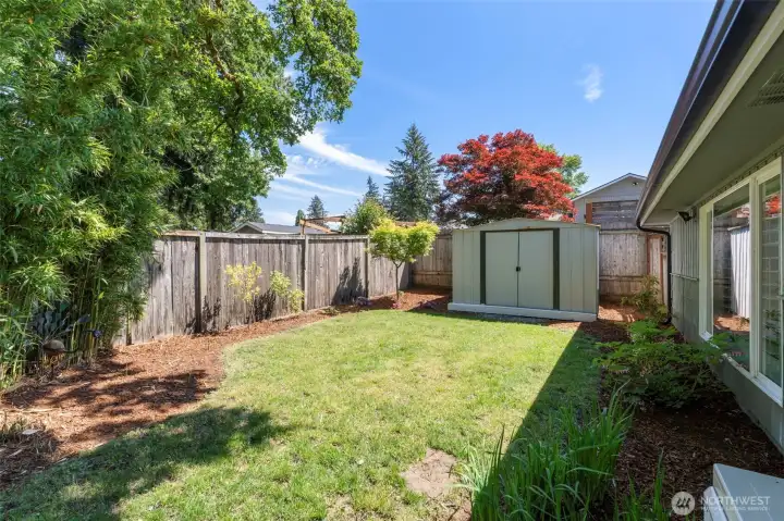 Backyard Backyard