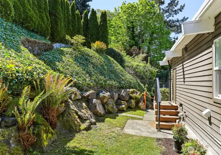 Your quiet backyard.