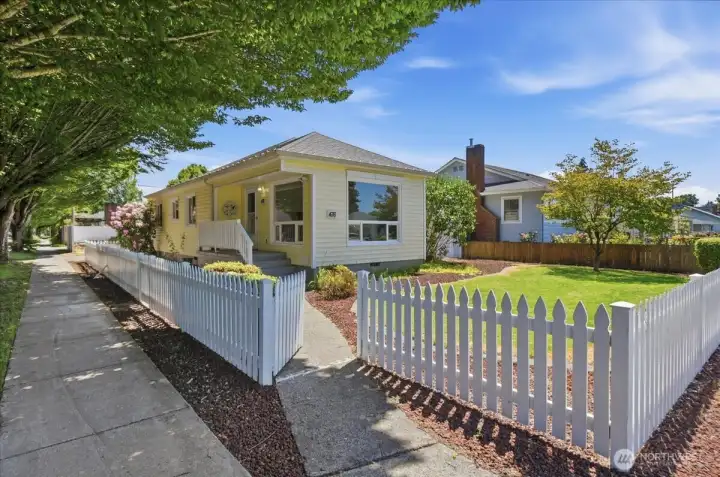 View of front yard