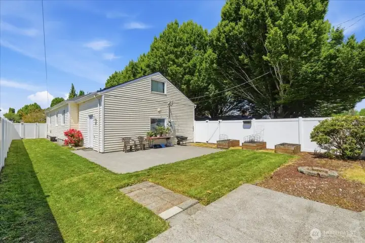 Backyard