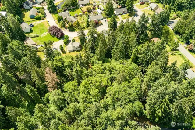 Aerial view of this bright and cleared site.