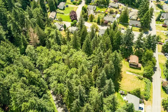 Aerial view of spacious lot of over half an acre.