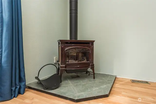 Propane fireplace