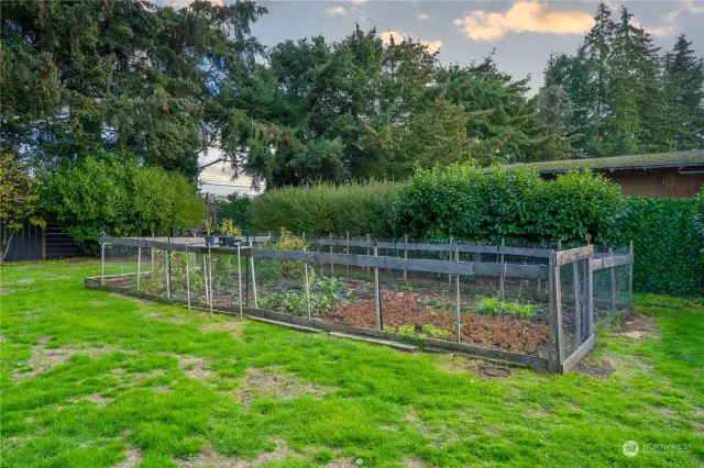 Fenced garden