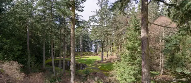 Lower plateau