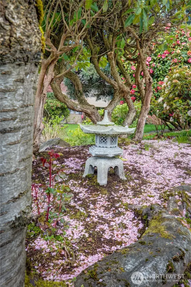 Just off the back patio and it is one of those things that makes you smile