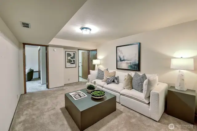 Downstairs Family room