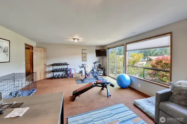Downstairs Family Room