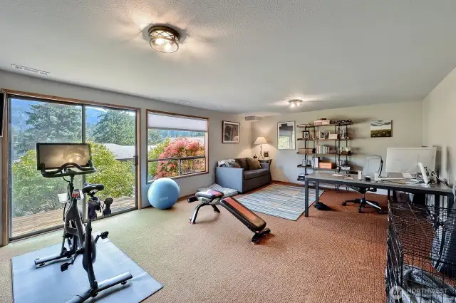 Downstairs Family Room