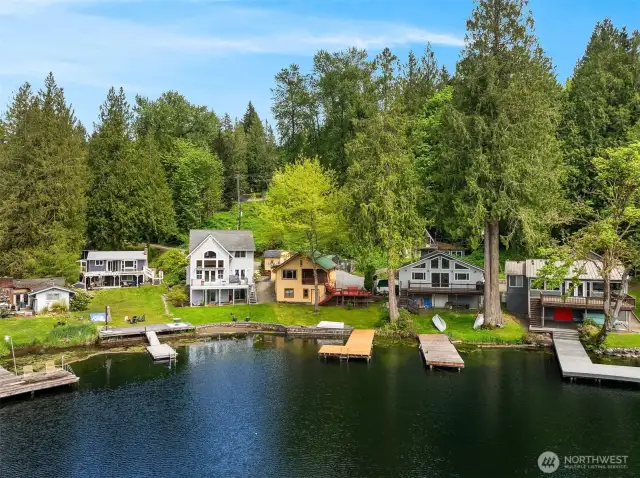 Luscious greenery surrounding home.
