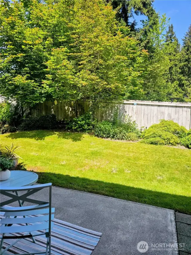 back yard