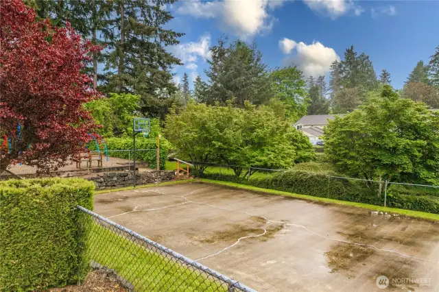 Community sports court