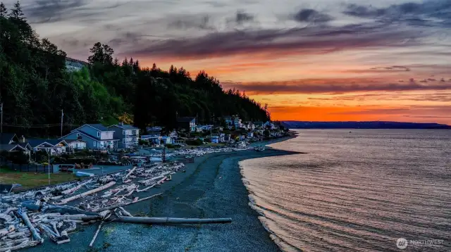 Driftwoods by the shores. Weathered driftwood lines the quiet shoreline, each piece a story shaped by tide and time.