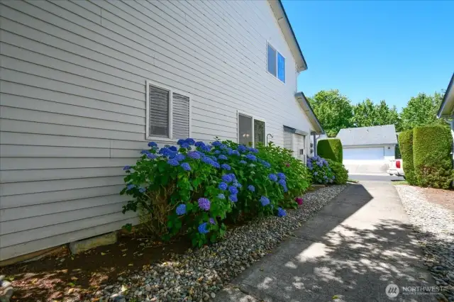 Side Walkway