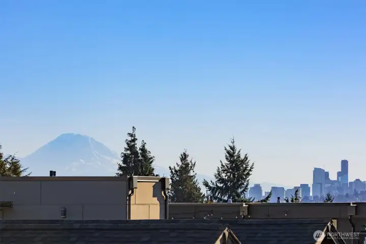 View of Mt. Rainier from rooftop.