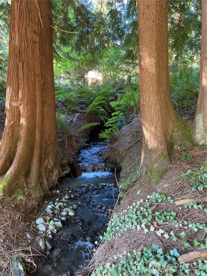 Spring fed Mud Creek borders property - peaceful sound and enjoyment year round. Spring fed Mud Creek borders property - peaceful sound and enjoyment year round.