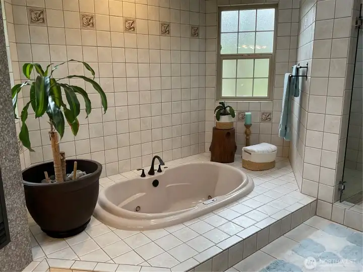 Primary Bath with Jacuzzi Tub