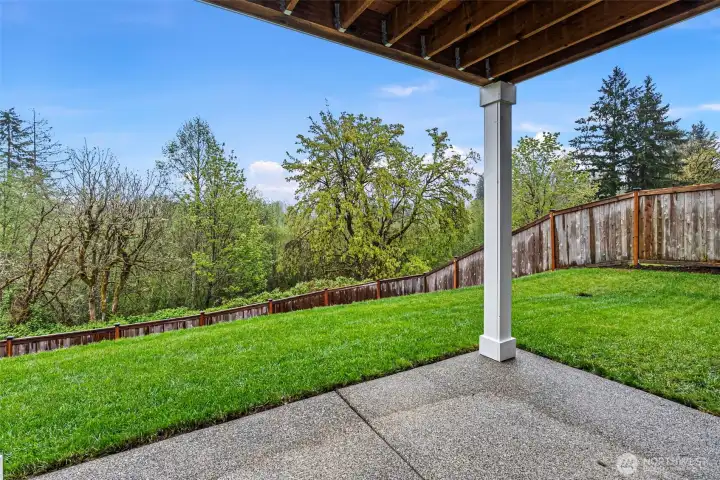 Lower level patio and back yard.