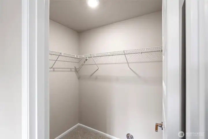 Lower Level walk in closet
