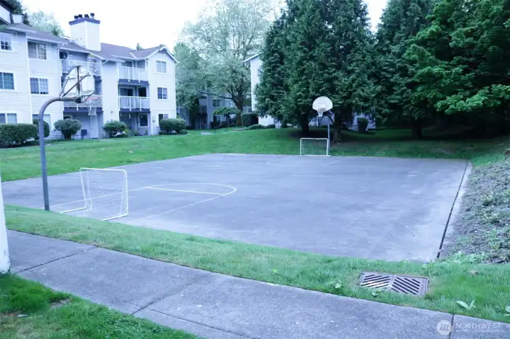 Sport court; basketball hoops, goals