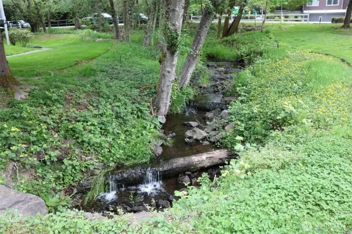 Walker's Run creek, near the entrance
