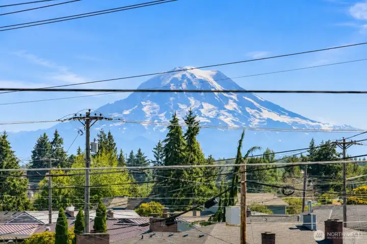 Mt Rainier View