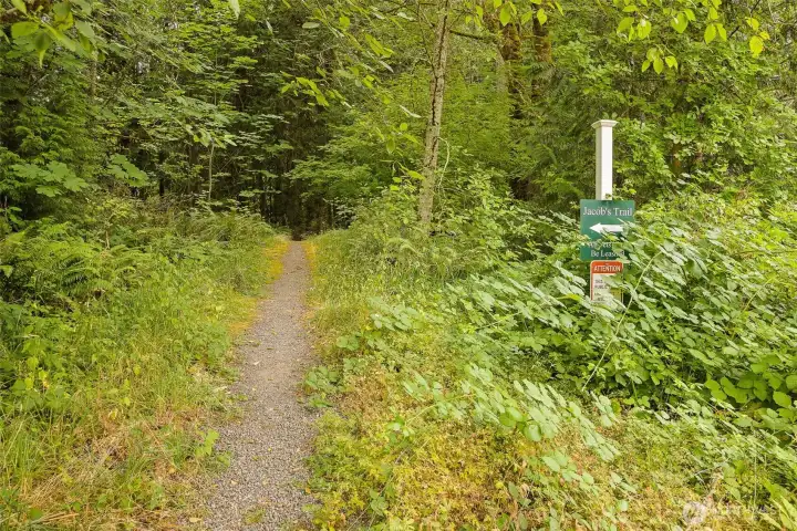 Steps away from trail system Steps away from trail system