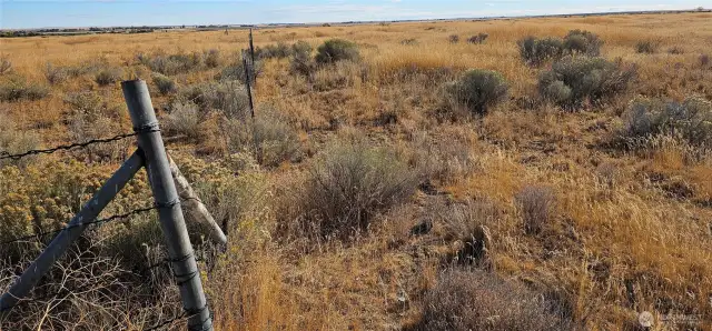 Fence on north side of property
