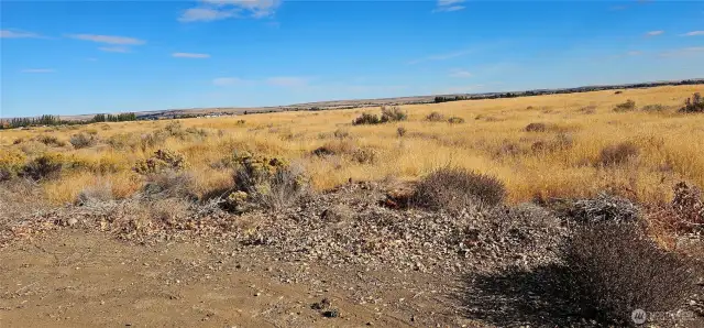 Looking southeast
