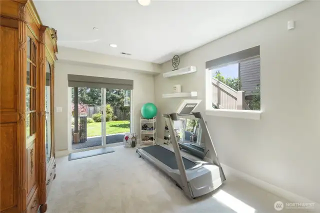 Downstairs Game/Workout area