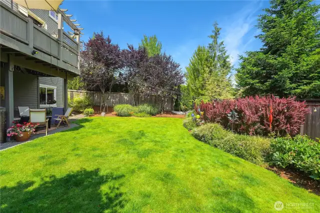 Wonderfully landscaped back yard oasis!
