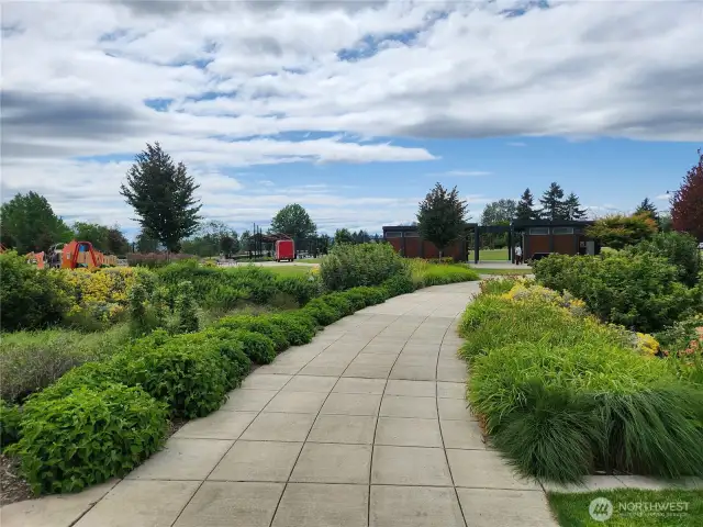Trails, landscaping across the street at Cascade PArk