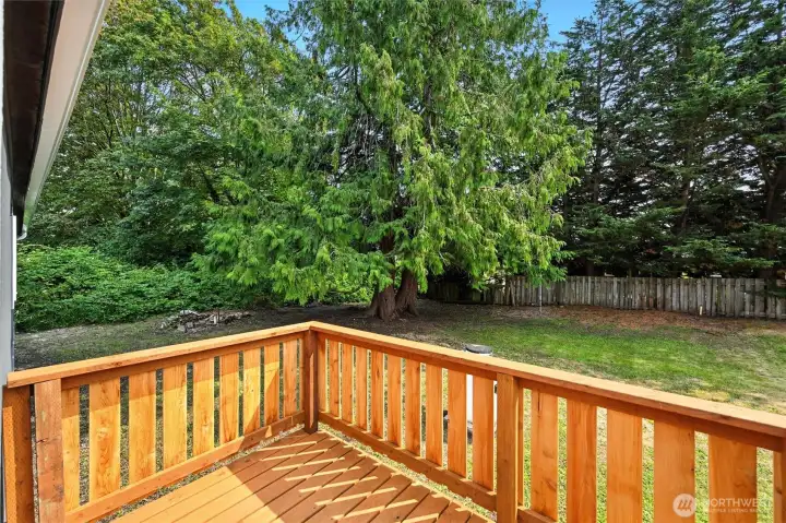 View of back yard from deck.